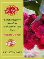 Rambutan