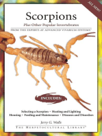 Scorpions: Plus Other Popular Invertebrates