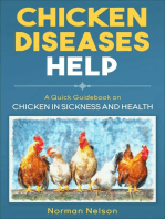 Chicken Diseases Help: A Quick Guidebook on Chicken in Sickness and Health