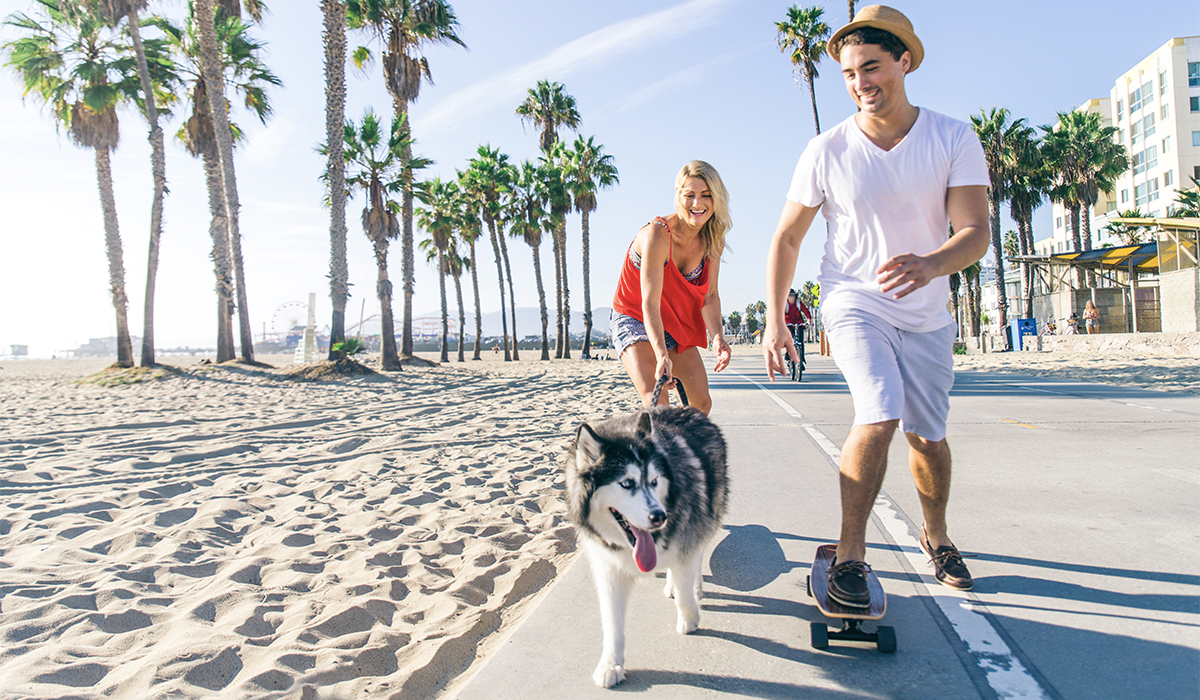 skater on the beach