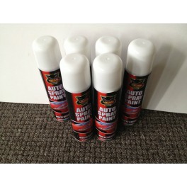 Aerosol spray paint auto