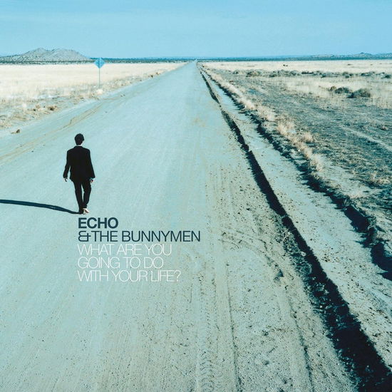 Cover for Echo &amp; the Bunnymen · What Are You Going To Do With Your Life? (Transparent Vinyl) (LP) (2024)