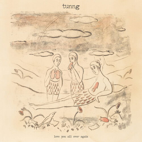 Cover for Tunng · Love You All Over Again (LP) (2025)