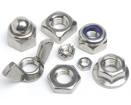 Stainless Steel Nuts