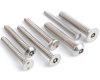 Stainless Steel Security Screws