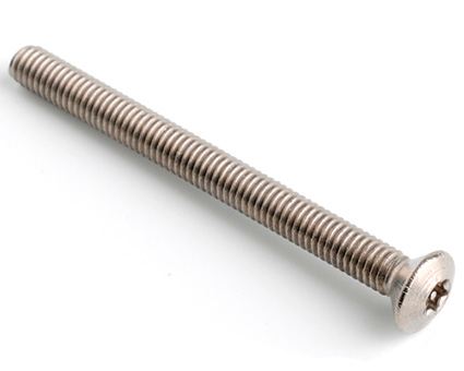 Stainless Steel Pin TX Raised Countersunk Screws