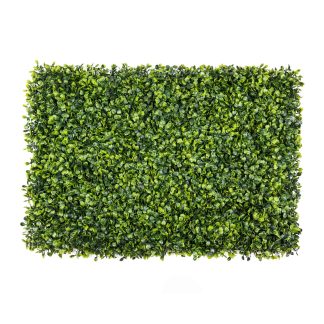 Boxwood Wall FW022