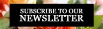 Subscribe to Our Newsletter