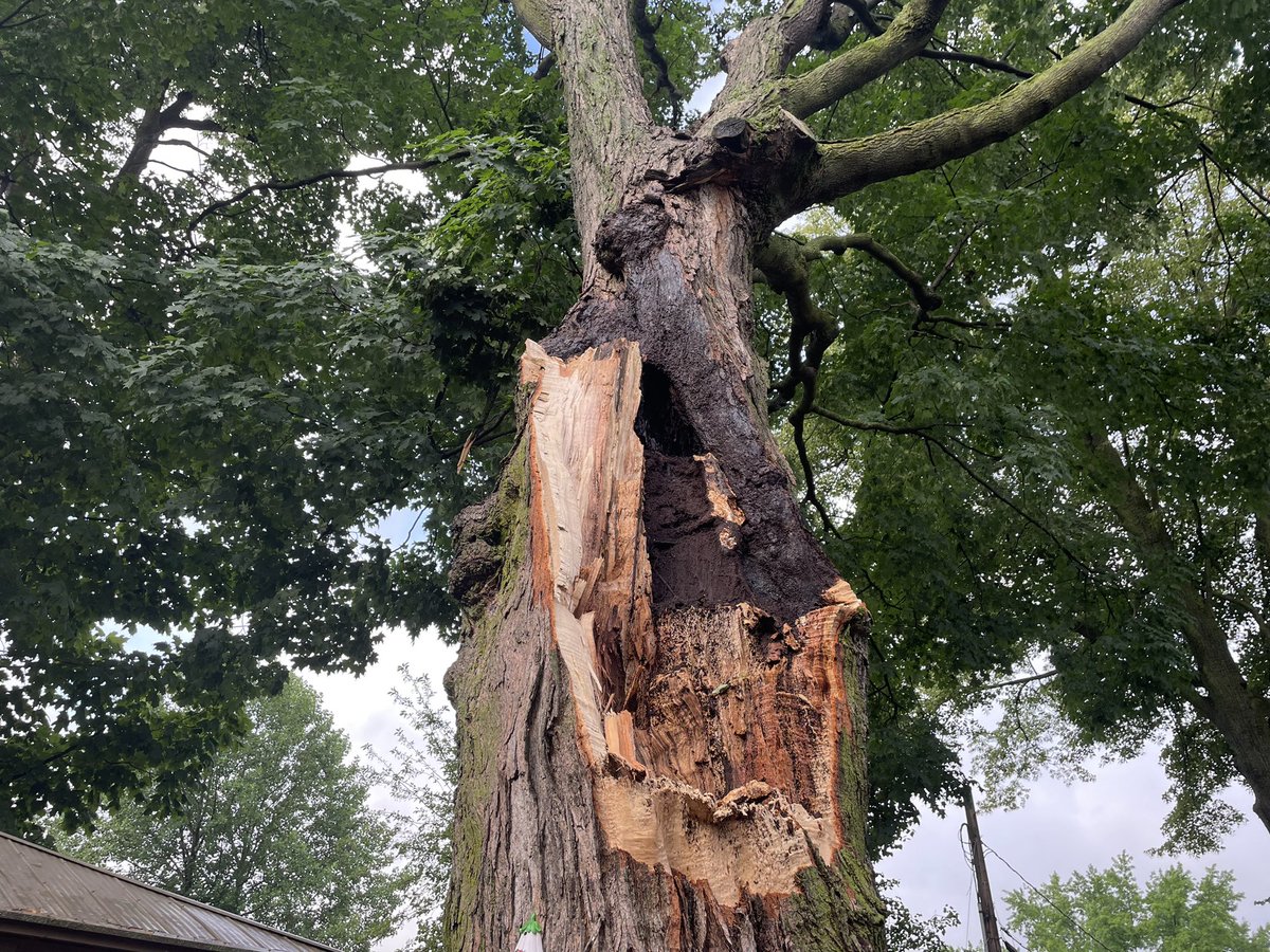 More damage along S Cherry and W Chestnut street in New Carlisle, ~20 ft tree blown down facing NE and landing on top of garage/house. Thankfully no one was hurt.