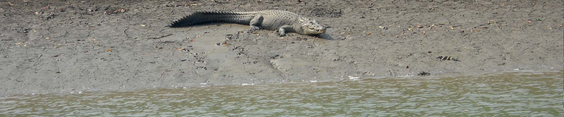 Wetlands of India Portal slider image