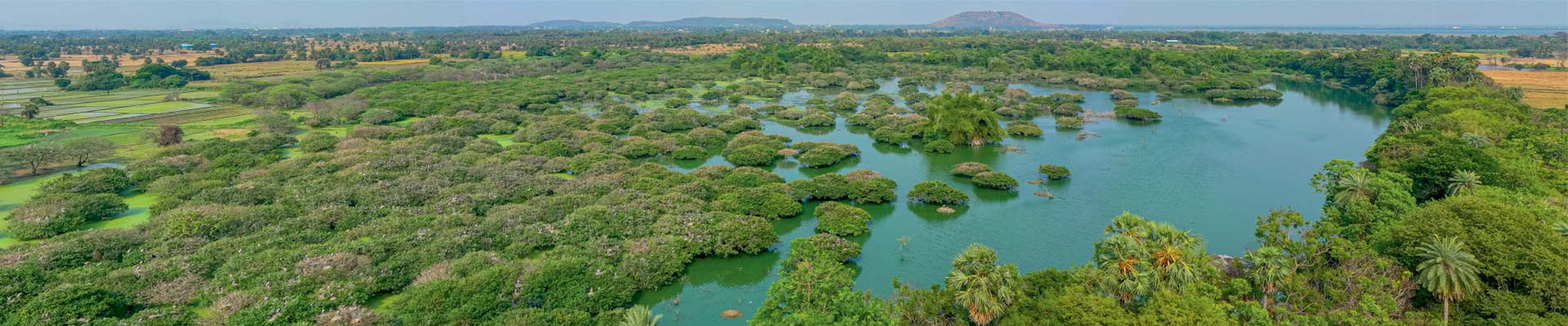 Wetlands of India Portal slider image