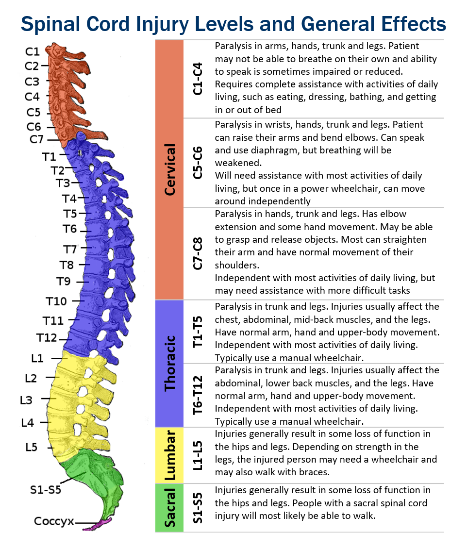 Functional Level Spinal Cord Injury Levels And Function Char