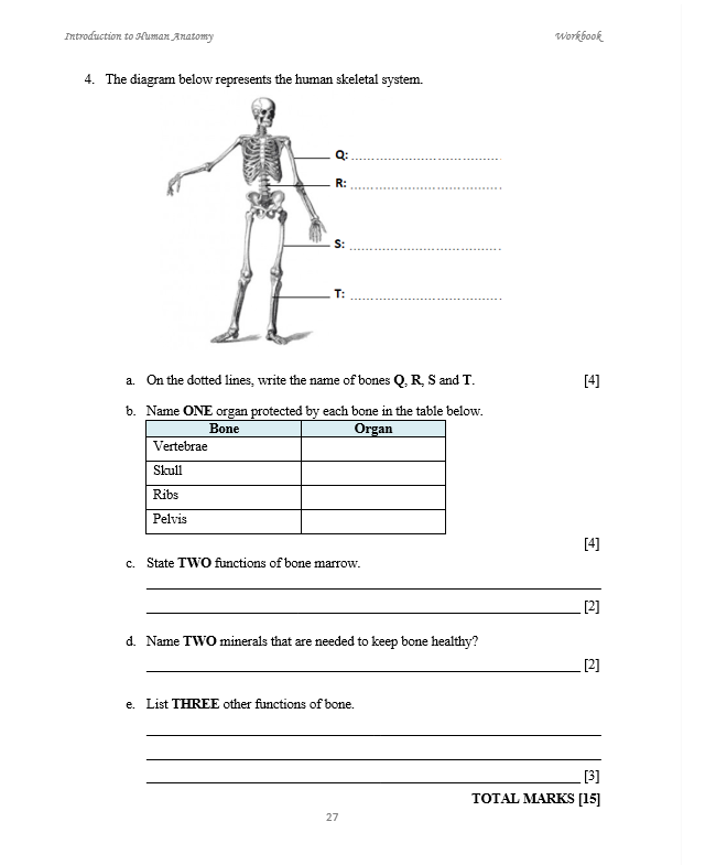 Introduction to Human Anatomy WORKBOOK (HEALTH SCIENCE) – Inquiring ...