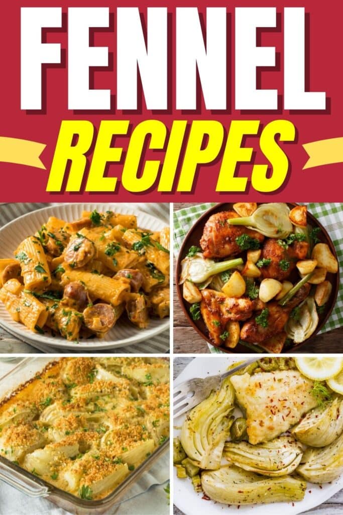 Fennel Recipes