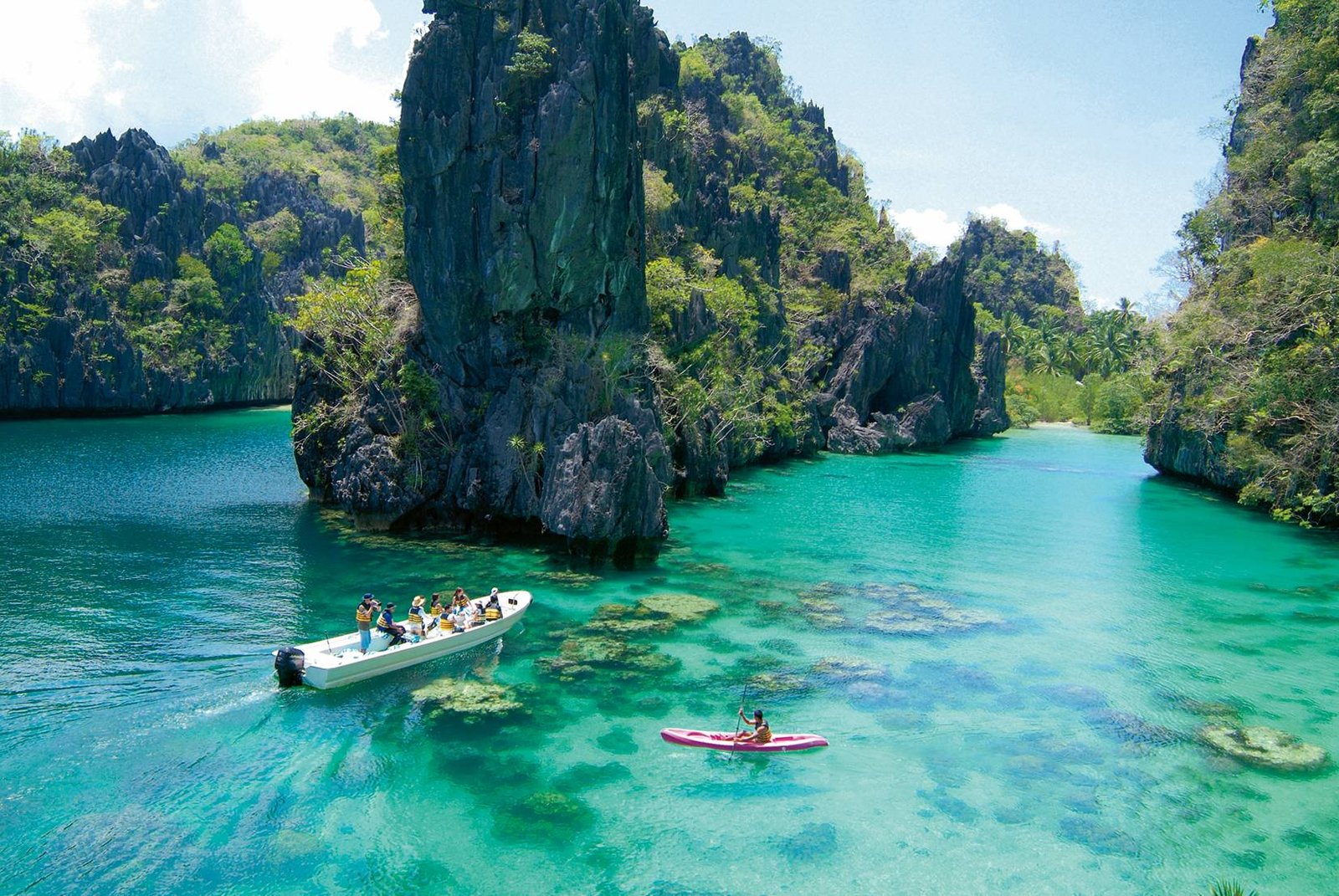 Palawan Most Beautiful Island In The World at Annette Cruz blog