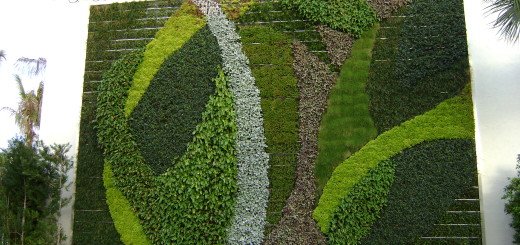 Beautiful Wall Garden Design