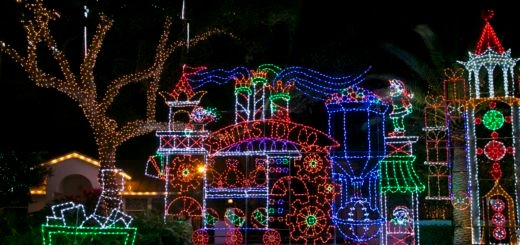 Christmas Lights Ideas For Outdoor