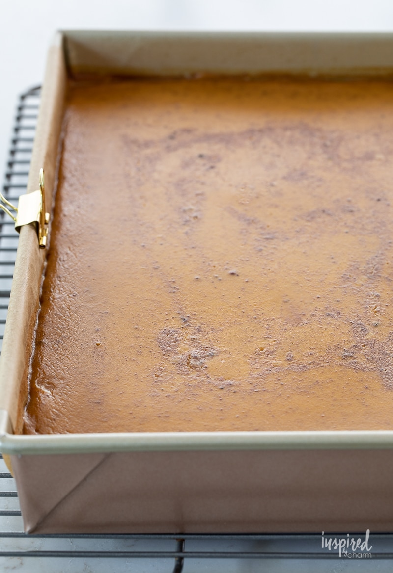 pumpkin pie baked in a cake pan.