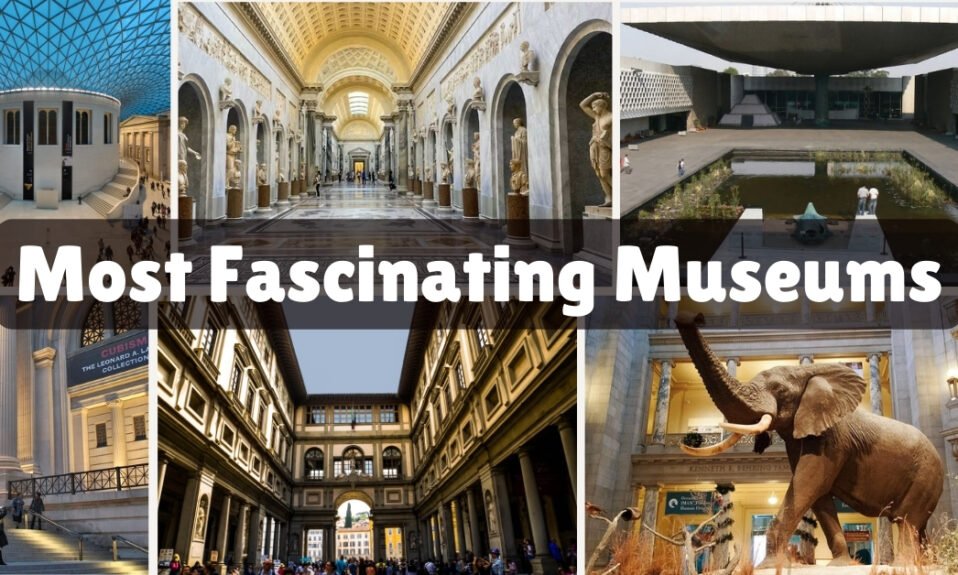 Most Fascinating Museums