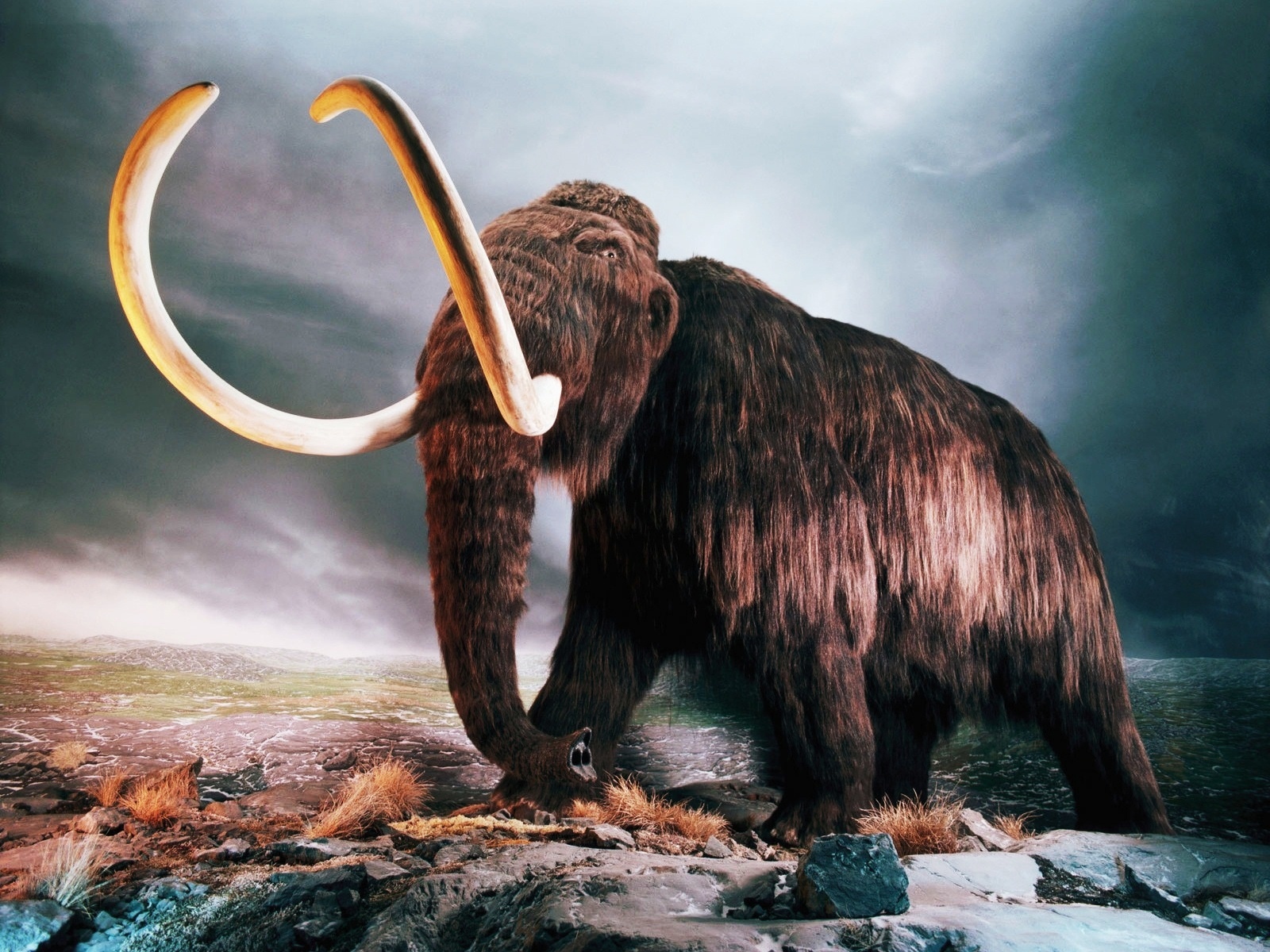 Cloning Woolly Mammoths and Global Warming – What’s the Connection?