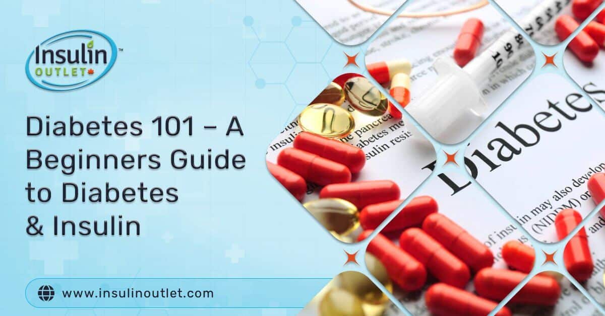 Diabetes 101 – A Beginners Guide to Diabetes & Insulin