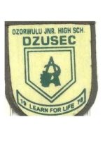 dzorwulu jhs