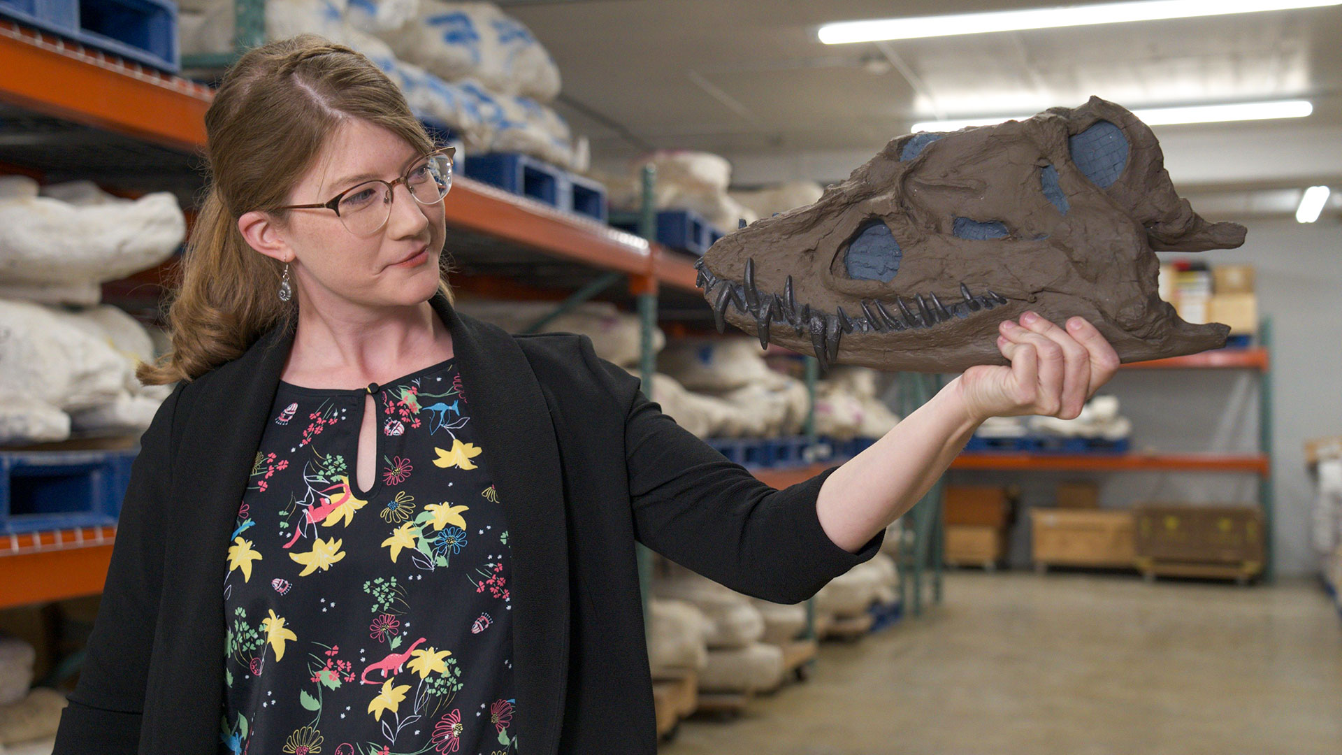 Where to Find Fossils in Your State | Detours | Prehistoric Road Trip |  WTTW Chicago