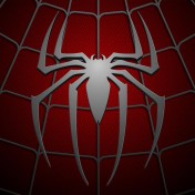 Spiderman iPad Wallpaper