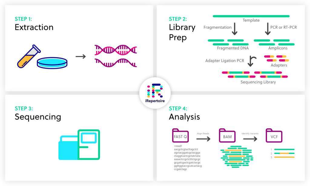 Sequence Of Steps Chart