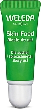 Odżywcze masło do ust Weleda Skin Food Lip Butter