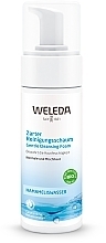 Delikatna pianka do mycia twarzy Weleda Delicate Cleansing Foam