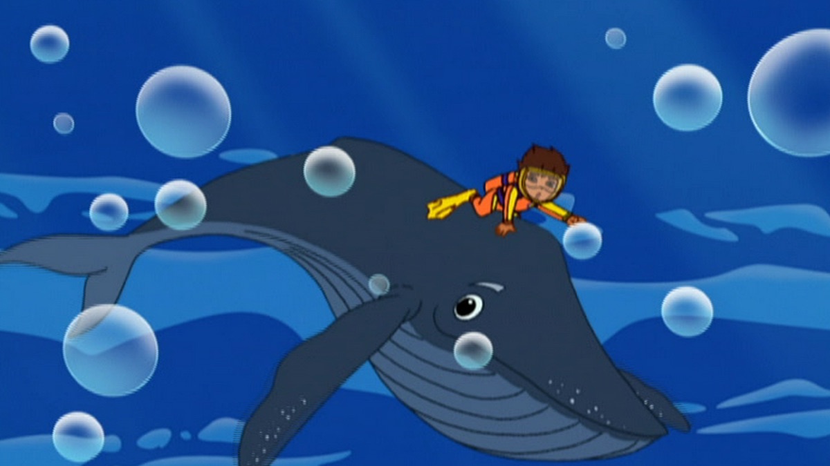 Go Diego Go Humpback Whale Rescue