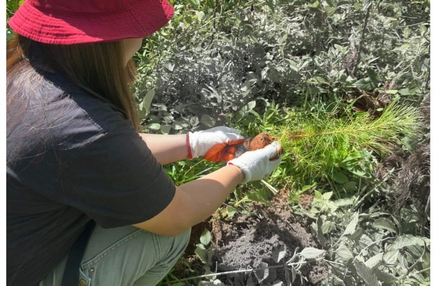 1,400 Trees Planted in Besil, Gumatdang as Part of Environment Month Celebration