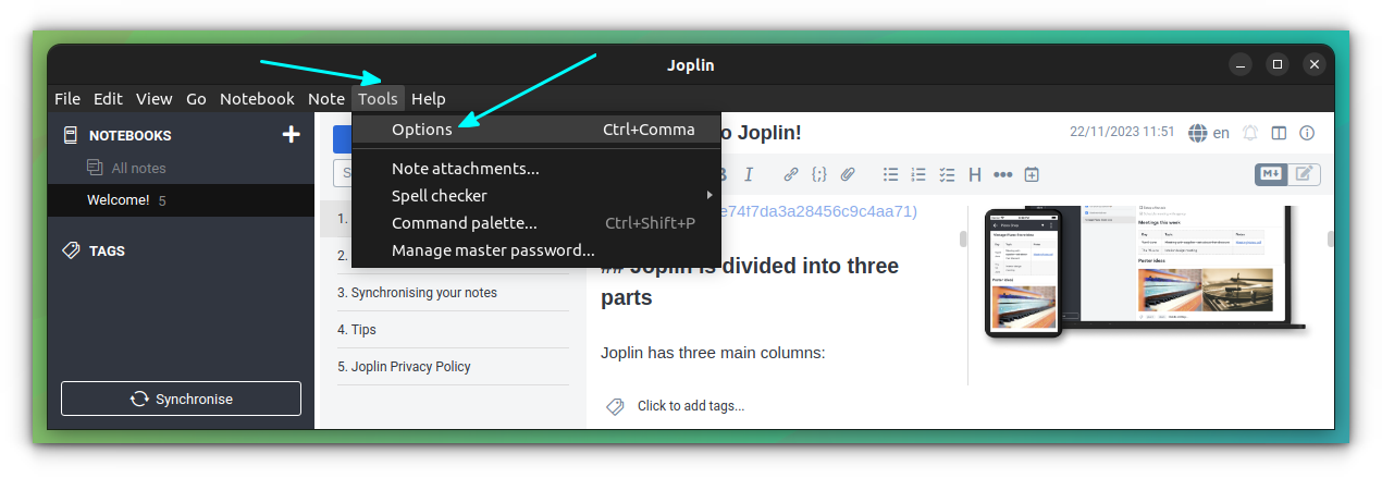 On Joplin menu, click on Tools and then select Options