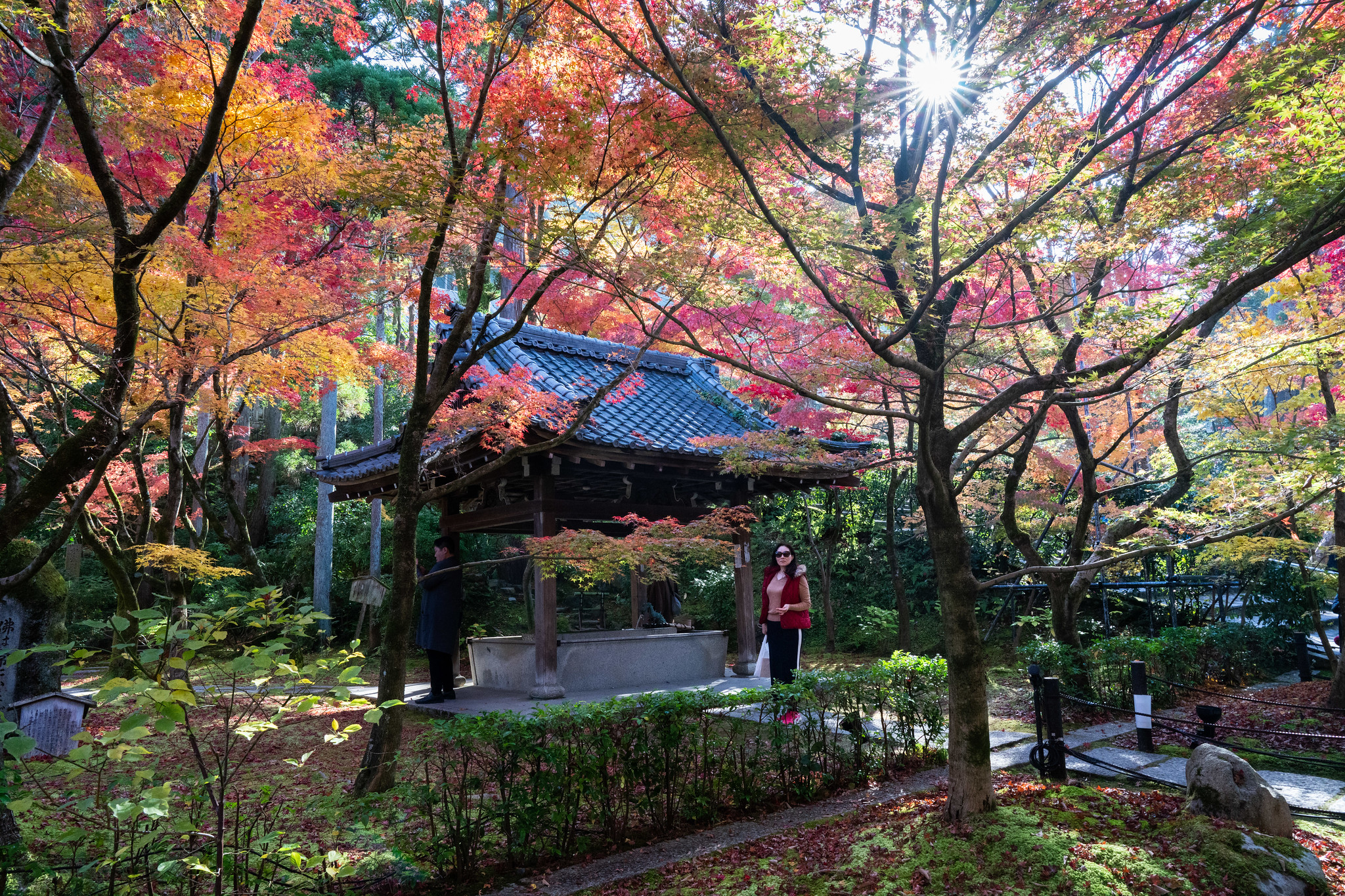 best temple in kyoto eikando