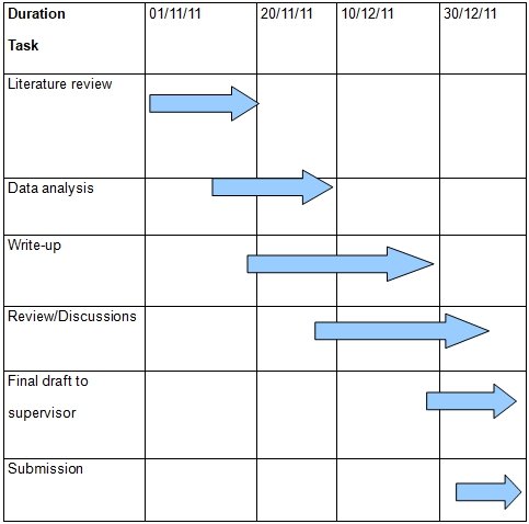 Project’s Gantt chart