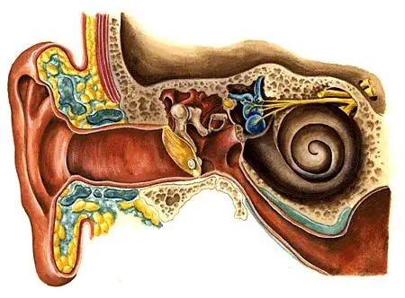 ear congestion relief