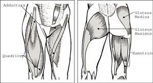 sore inner thigh muscles from exercise