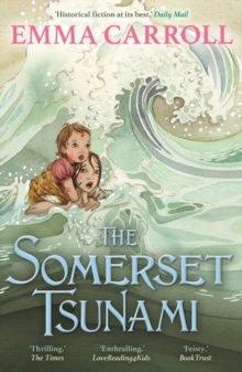 Image for The Somerset Tsunami