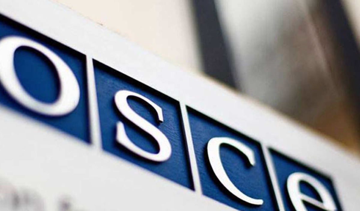 OSCE urges trust amid Georgian protests