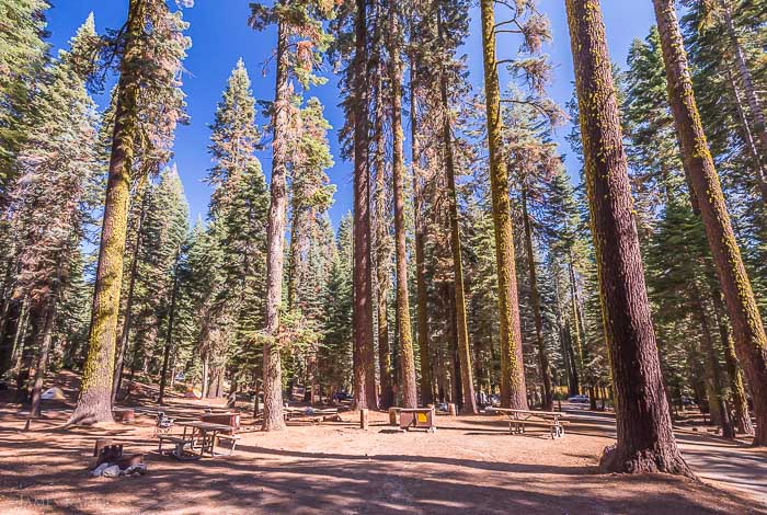 Crane Flat Campground, Yosemite National Park