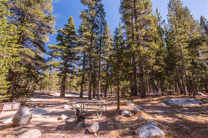 Tuolumne Campground, Yosemite National Park