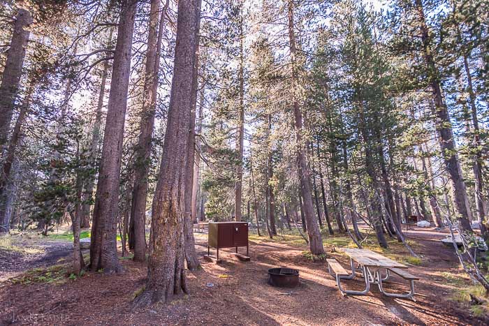 White Wolf Campground, Yosemite National Park