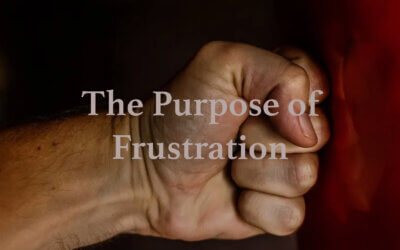 The Purpose of Frustration