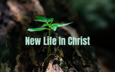 New Life in Christ