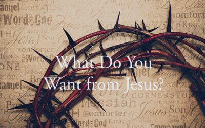 What Do You Want from Jesus?