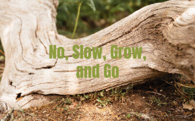 No, Slow, Grow, and Go