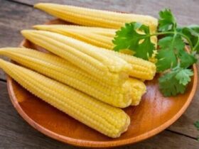 Pickled Baby Corn Recipe