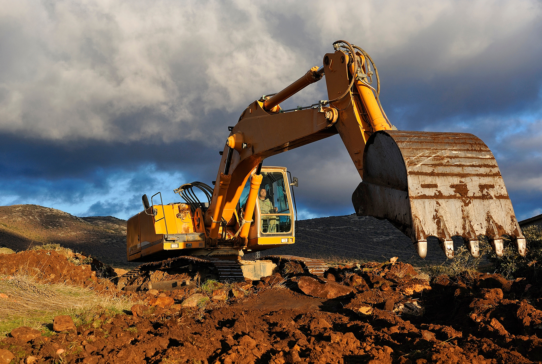 Excavator working on clearing a site of Japanese knotweed ground contamination