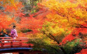 Autumn Leaves in Kyoto = Shutterstock 1